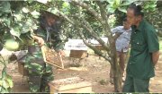 Mật ong Thiên Nhiên Phượng Nghi, bước khởi đầu xây dựng sản phẩm OCOP
