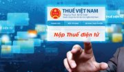 Hướng dẫn nộp thuế điện tử qua mạng đối với hộ kinh doanh