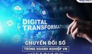BỘ CHỈ SỐ ĐÁNH GIÁ MỨC ĐỘ CHUYỂN ĐỔI SỐ DOANH NGHIỆP
