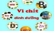TÁC DỤNG CỦA VI CHẤT DINH DƯỠNG ĐỐI VỚI CƠ THỂ CON NGƯỜI