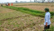 Xã Phượng Nghi triển khai kế hoạch dồn điền, đổi thửa để lập hồ sơ địa chính và dăng ký cấp giấy chứng nhận quyền sử dụng đất nông nghiệp cho nhân dân