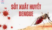 Bài tuyên truyền dịch sốt xuất huyết