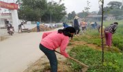 Hội Nông dân xã Phượng Nghi triển khai các hoạt động chào mừng 93 năm ngày thành lập hội (14/10/1930 - 14/10/12023)