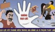 Trách nhiệm của cá nhân, gia đình và các cơ quan tổ chức trong phòng, chống bạo lực gia đình