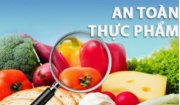 Bài tuyên truyền vệ sinh an toàn thực phẩm