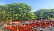 Trường tiểu học Phượng Nghi khai giảng năm học mới 2024-2025