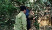 Phát hiện vết nứt trên đồi ở thôn Đồng Phông, xã Phượng Nghi