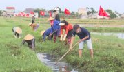 Xã Phượng Nghi triển khai kế hoạch làm thủy lợi mùa khô 2024-2025