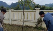TẾT TRỒNG CÂY - ĐỜI ĐỜI NHỚ ƠN BÁC HỒ